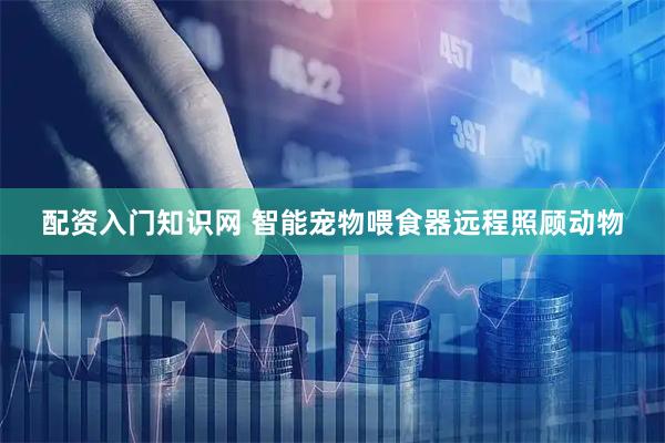 配资入门知识网 智能宠物喂食器远程照顾动物